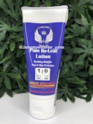 PAIN RELIEF LOTION